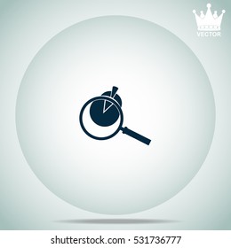 Pie Chart and Magnifying Glass  vector illustration.