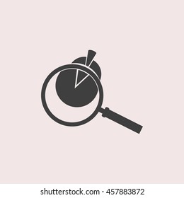 Pie Chart and Magnifying Glass web icon. Isolated illustration