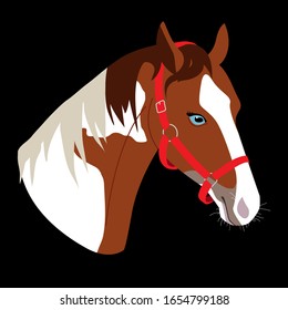 Piebald horse with blue eyes, horse portrait, horse head, horse halter. Vector illustration. Simple minimalist style