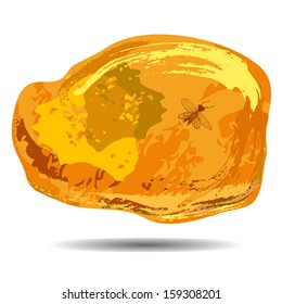 A piece of amber with a fixed prehistoric fly inside.Vector isolate on a white background