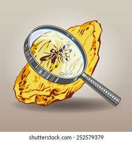 Piece of amber with insects preserving for hundreds of thousands of years viewing through a magnifying glass vector illustration