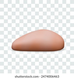 Piece of boneless turkey. Chicken fillet on white background