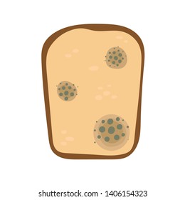 A piece of bread with mold . Flat on a white background.