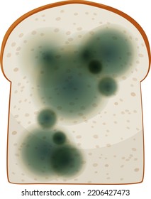 Ein Stück Brot mit Schimmelgrafik