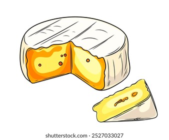 Piece of Brie cheese slice with holes. Hand drawn colorful sketch style. Food packaging, restaurant menus, or culinary-themed designs. Detailed and appetizing. Vector illustration.