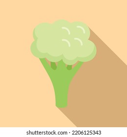 Piece brocoli icon flat vector. Cabbage food. Sweet vegan