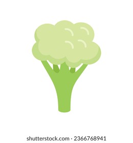 Piece brocoli icon flat vector. Cabbage food. Sweet vegan isolated