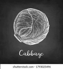 Piece of cabbage. Chalk sketch on blackboard background. Hand drawn vector illustration. Retro style.