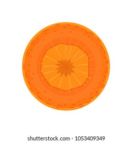 Piece of carrot. Vector illustration.