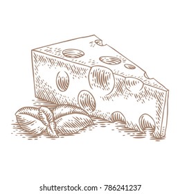 Piece of cheese with fresh green basil