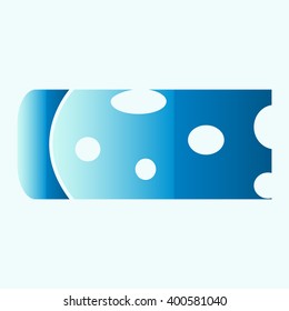 Piece of cheese isolated icon