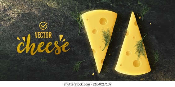 Piece of cheese on dark background