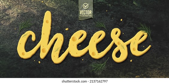 Piece of cheese on dark background