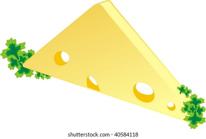 Piece of a cheese with parsley. Vector
