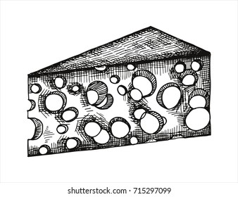 piece of cheese. vector. hand drawing isolated
