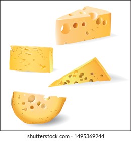 A piece of cheese, a vector picture as a design element.