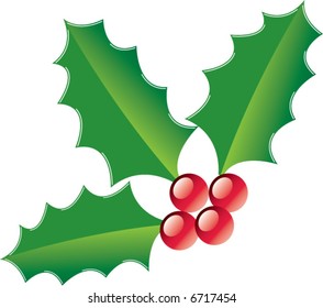 A piece of Christmas holly on white in vector format