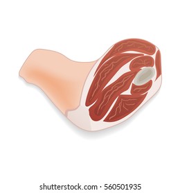 A piece of delicious fresh pork on a white background. For use as logos on cards, in printing, posters, invitations, web design and other purposes.