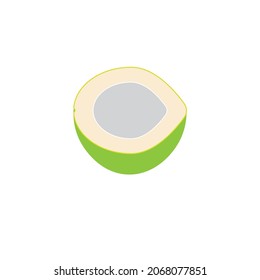 Piece of food or catted coconut vector image