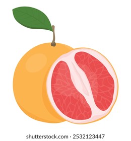 Stück frische reife Traubenfrucht mit Blatt einzeln auf weißem Hintergrund. Vektorgrafik von Zitrusfrüchten