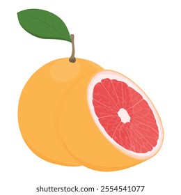 Piece of fresh ripe grapefruit with leaf isolated on white background. Citrus fruit vector illustration