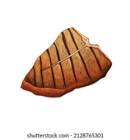 Piece of fried meat, illustration, vector on white background
