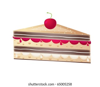 piece of fruit cake on a isolated  background,vector