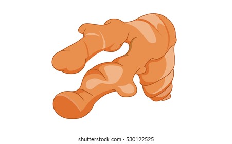 Piece of Ginger - Cartoon Vector Image