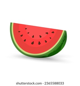 A piece of juicy  Watermelon organic fruit in half cut, slices and triangle. Red watermelon piece vector, illustration