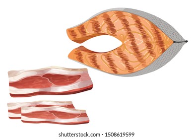 Piece of King mackerel fish and steak vector isolated on white background