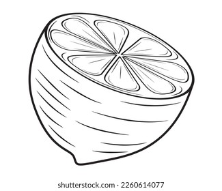 A piece of lemon in isolate on a white background. Vector illustration.