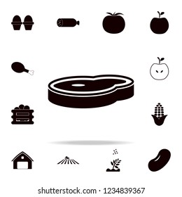 piece of meat icon. Farm icons universal set for web and mobile