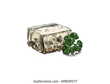 Piece of meat jelly with branch of green parsley