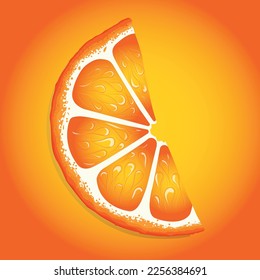 piece of an orange, realistic vector half an orange

