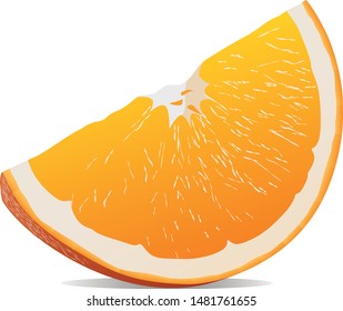 piece of orange vector illustration