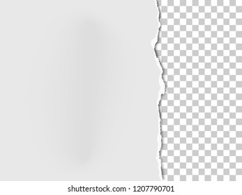 A piece of paper with the torn part on the right side and transparent background under it. Vector template paper design.