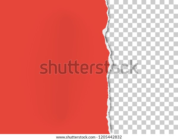 A piece of paper with the torn\
part on the right side. Vector template paper\
design.