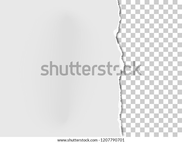 A
piece of paper with the torn part on the right side and transparent
background under it. Vector template paper
design.