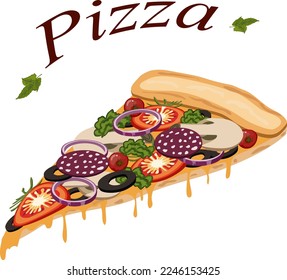 A piece of pizza in the illustration.Color vector illustration of pizza portion with mushrooms, vegetables and cheese.