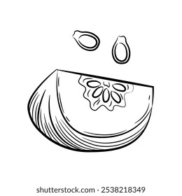 Pedaço de abóbora, sementes esboço em fundo branco. Esboço desenhado à mão. Clipart de ilustração de vetor.