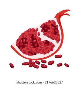 Piece of raw pomegranate fruit. Spherical red gelatinous flesh fruits, exotic fresh food, natural vitamins, juicy ripe pomegranate, chopped pomegranate with many seeds vector illustration