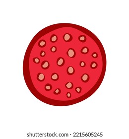 Piece of red salami sausage. Delicious meat product delicacy. Ingredient for cooking. Cartoon vector illustration isolated on white background