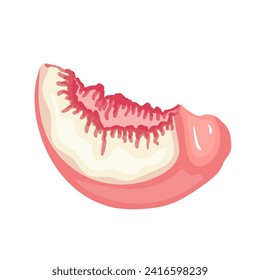 A piece of ripe, juicy peach and nectarine fruit. Vector graphics.