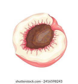A piece of ripe, juicy peach and nectarine fruit. Vector graphics.