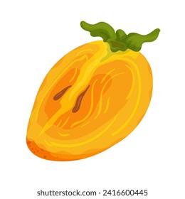 A piece of ripe, juicy persimmon fruit. Vector graphics.
