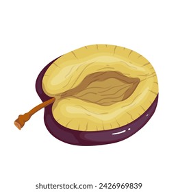 A piece of ripe plum fruit. Vector graphics.