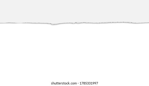 Piece of ripped paper. Vector graphics