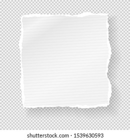 Piece of ripped white paper strip with torn edges and soft shadow for text are on squared background. Vector illustration