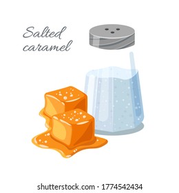 Piece of salted caramel and salt in a shaker isolated on white background. Melted appetizing caramel cubes. Vector illustration