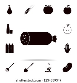 piece of sausage icon. Farm icons universal set for web and mobile